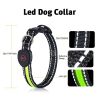 Blinking Flashing Pets Safety LED Adjustable Dog Collar